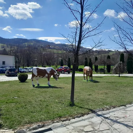 Διαμέρισμα Begic Travnik